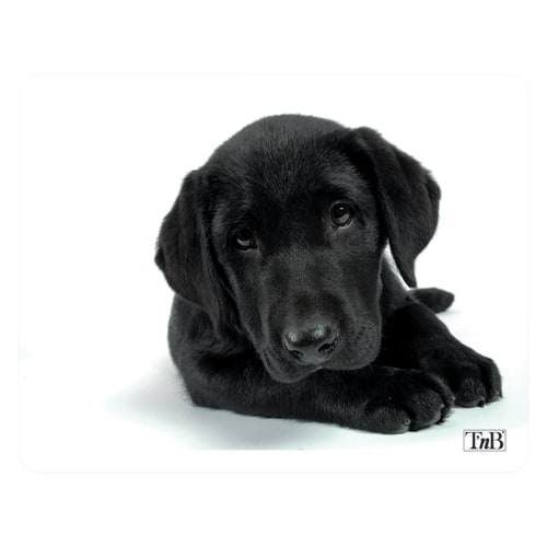 t-nb-tapis-de-souris-illustr-dog-22x18-cm image 1