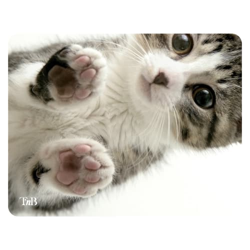 t-nb-tapis-de-souris-illustr-kitty-22x18-cm image 1