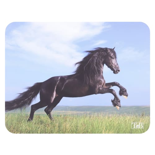 t-nb-tapis-de-souris-illustr-horses-22x18-cm image 1