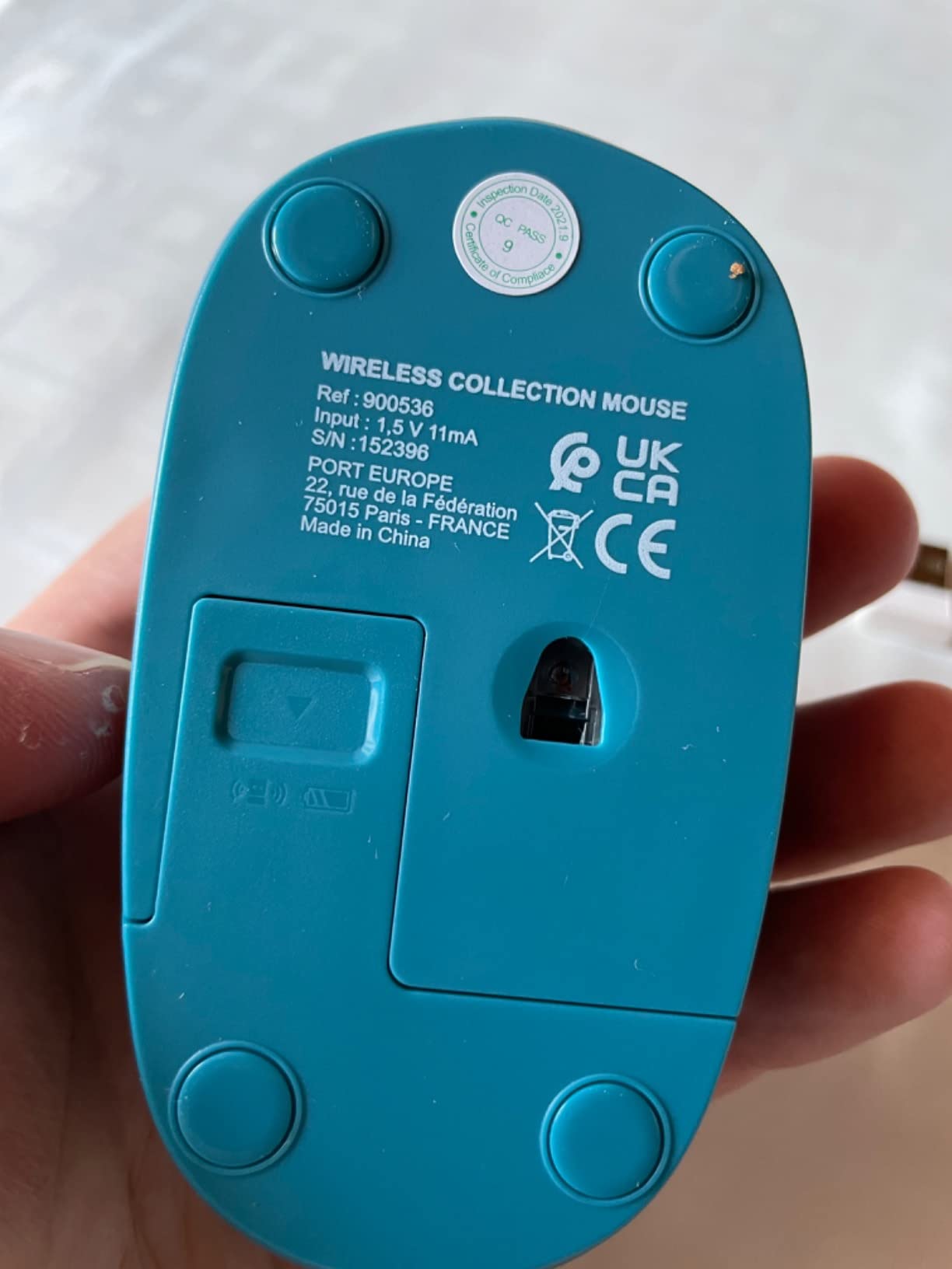 Bonne petite souris nomade